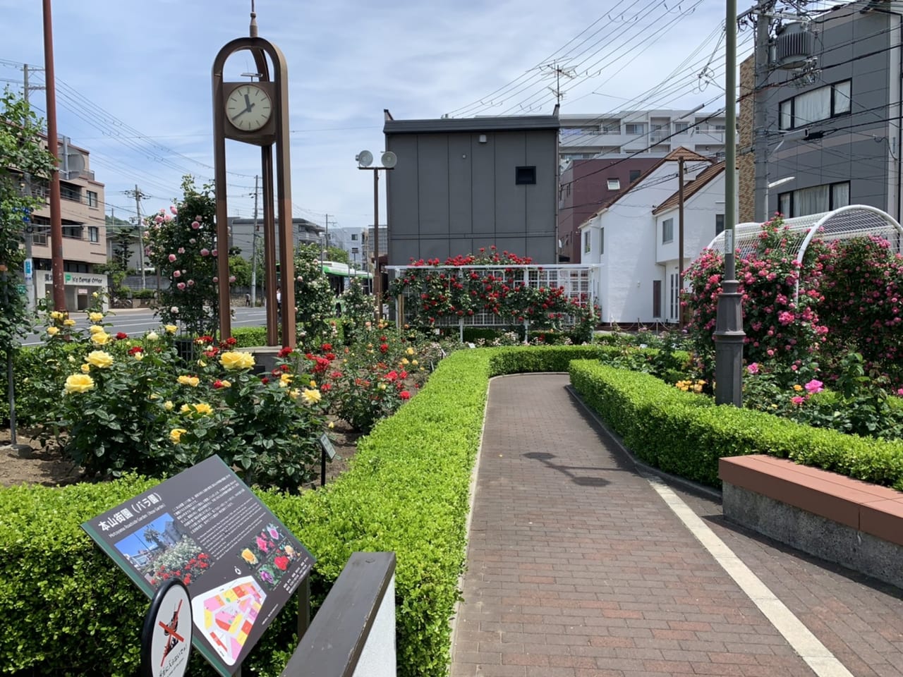 神戸市東灘区 山手幹線沿い 本山街園 バラ園 今年も綺麗に花が咲いていました 今週いっぱいが見ごろです 号外net 神戸市灘区 東灘区