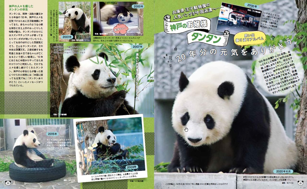 神戸王子動物園 パンダ タンタン コウコウ グッズ - 使用済切手/官製はがき