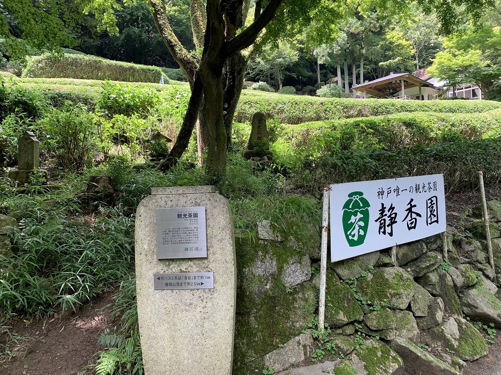 神戸観光茶園