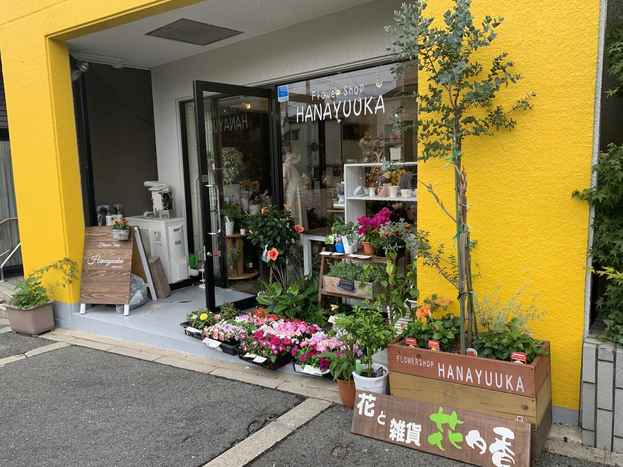 神戸市灘区 Flower Shop 花夕香 さん 大内通りに7月1日移転へ お花のサブスクリプションを始められてますよ 号外net 神戸市 灘区 東灘区