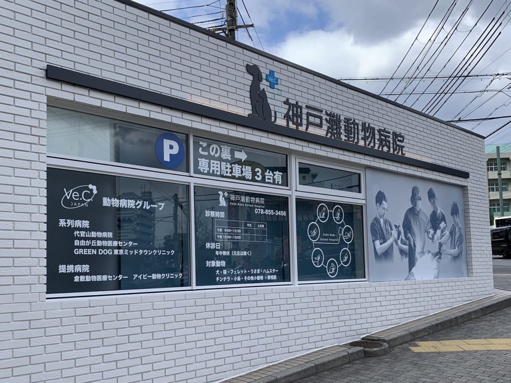 神戸灘動物病院
