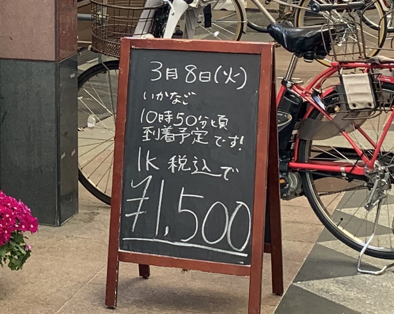 いかなご販売・神戸市東灘区
