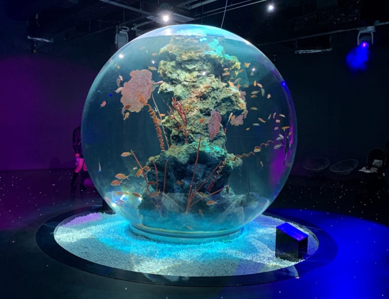 【神戸市】屋内施設『劇場型水族館 アトア átoa』なら、雨の日でも楽しめますよ～。アートと水族館が融合した、映えポイント満載の施設です ...