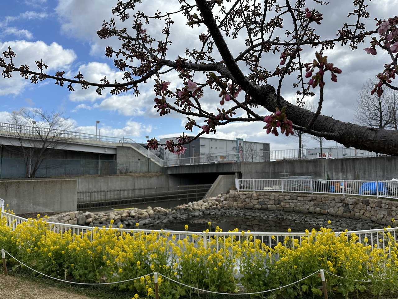 西郷川河口公園