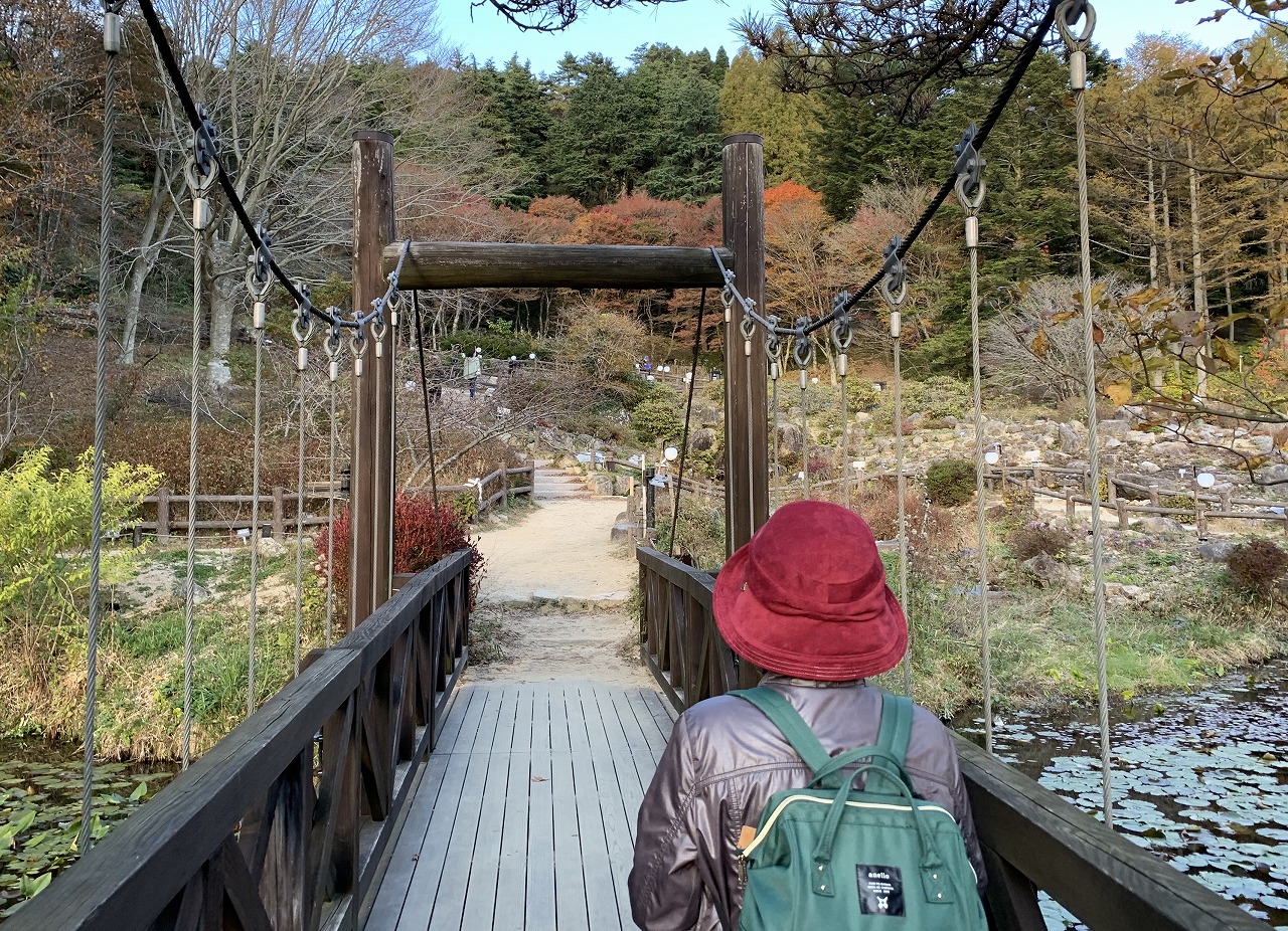 六甲高山植物園