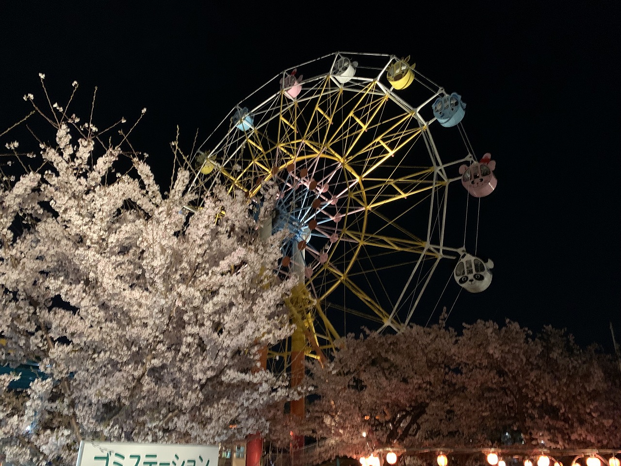 夜桜通り抜け「神戸市立王子動物園」