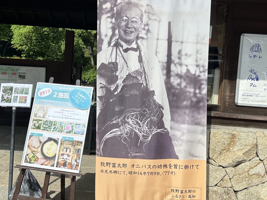 植物学者「牧野富太郎」