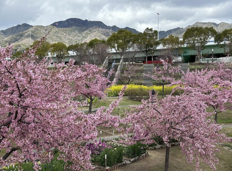 西郷川河口公園