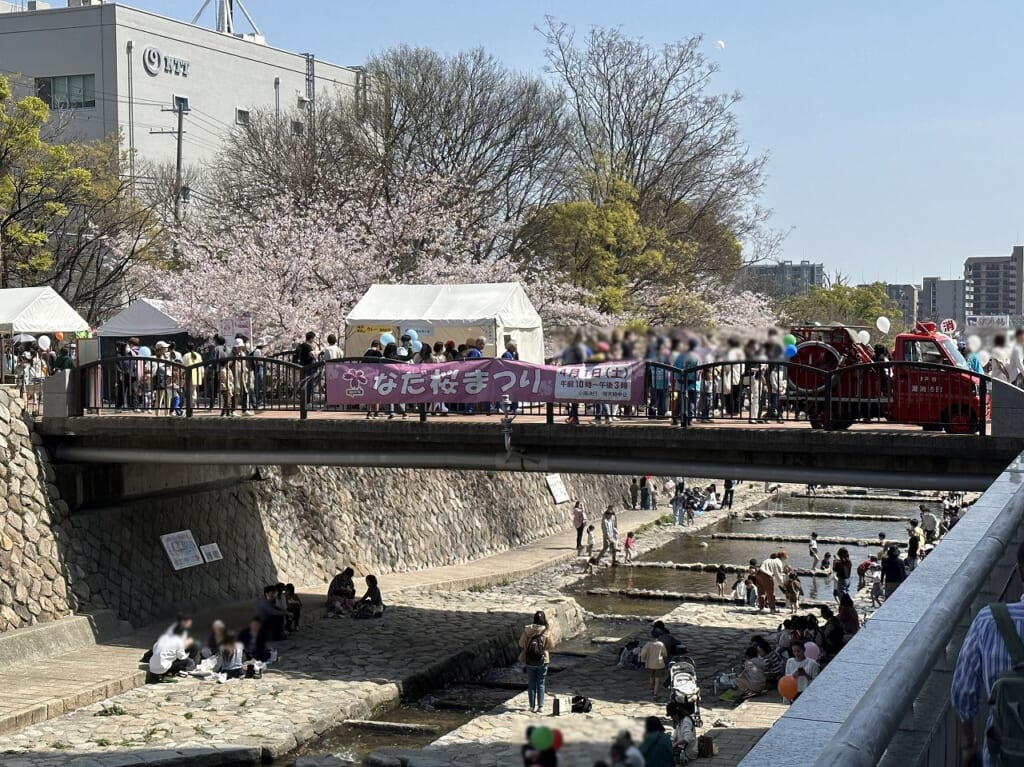 『第29回なだ桜まつり』2024年4月6日に決定！！
