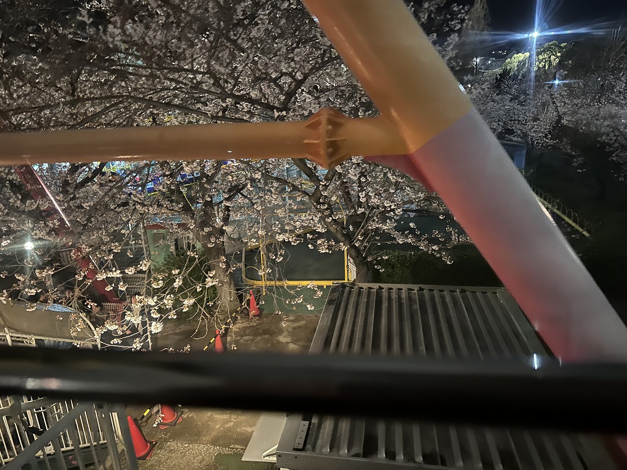 神戸市立王子動物園「夜桜通り抜け」