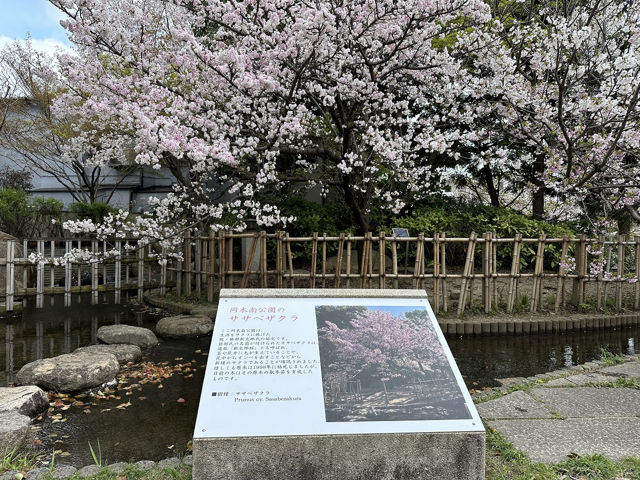 岡本南公園（桜守公園）