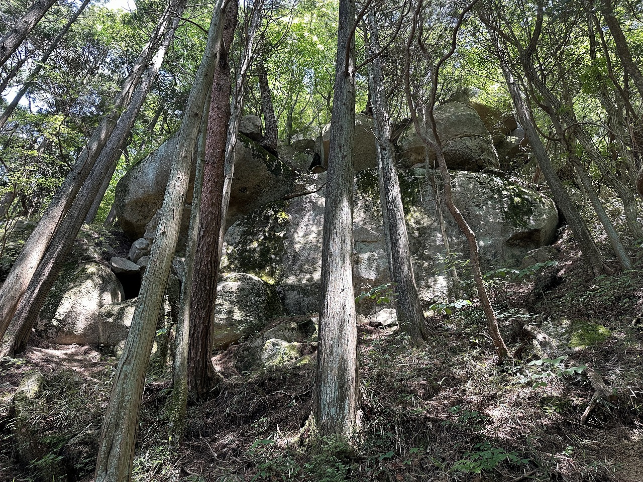 世界最大級・世界最古級 ウサギ型の神の磐座 六甲比命大善神社