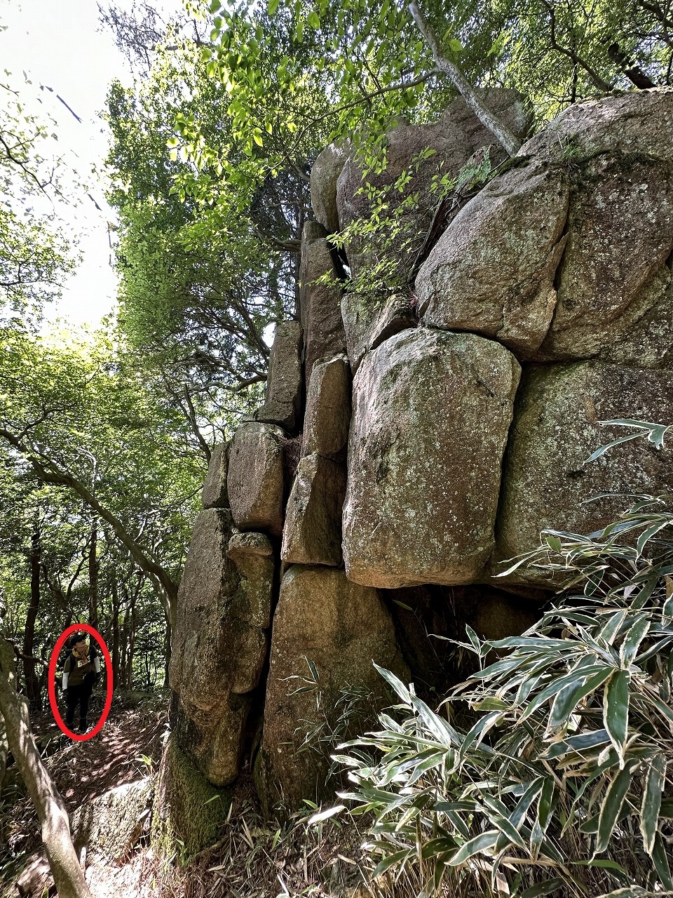 六甲比命大善神社