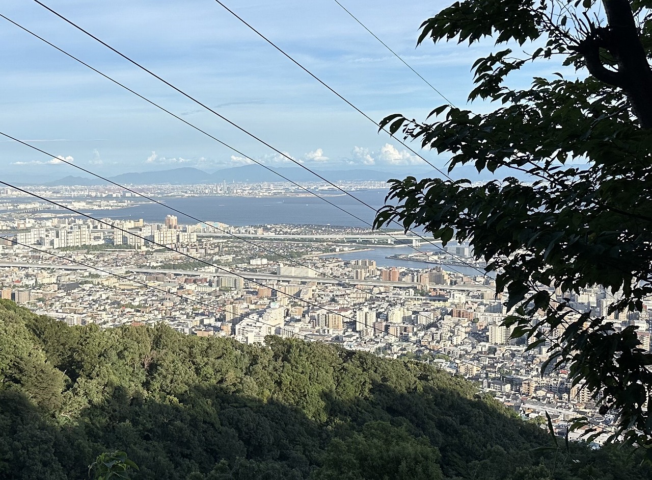 薬大尾根道