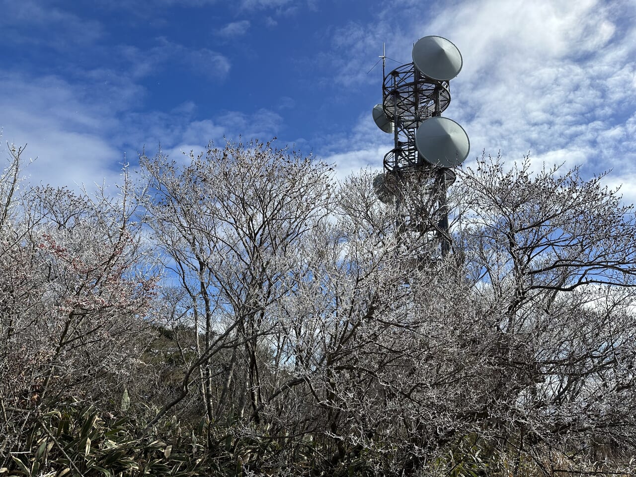 松永K三蔵先生 芥川賞受賞『バリ山行』