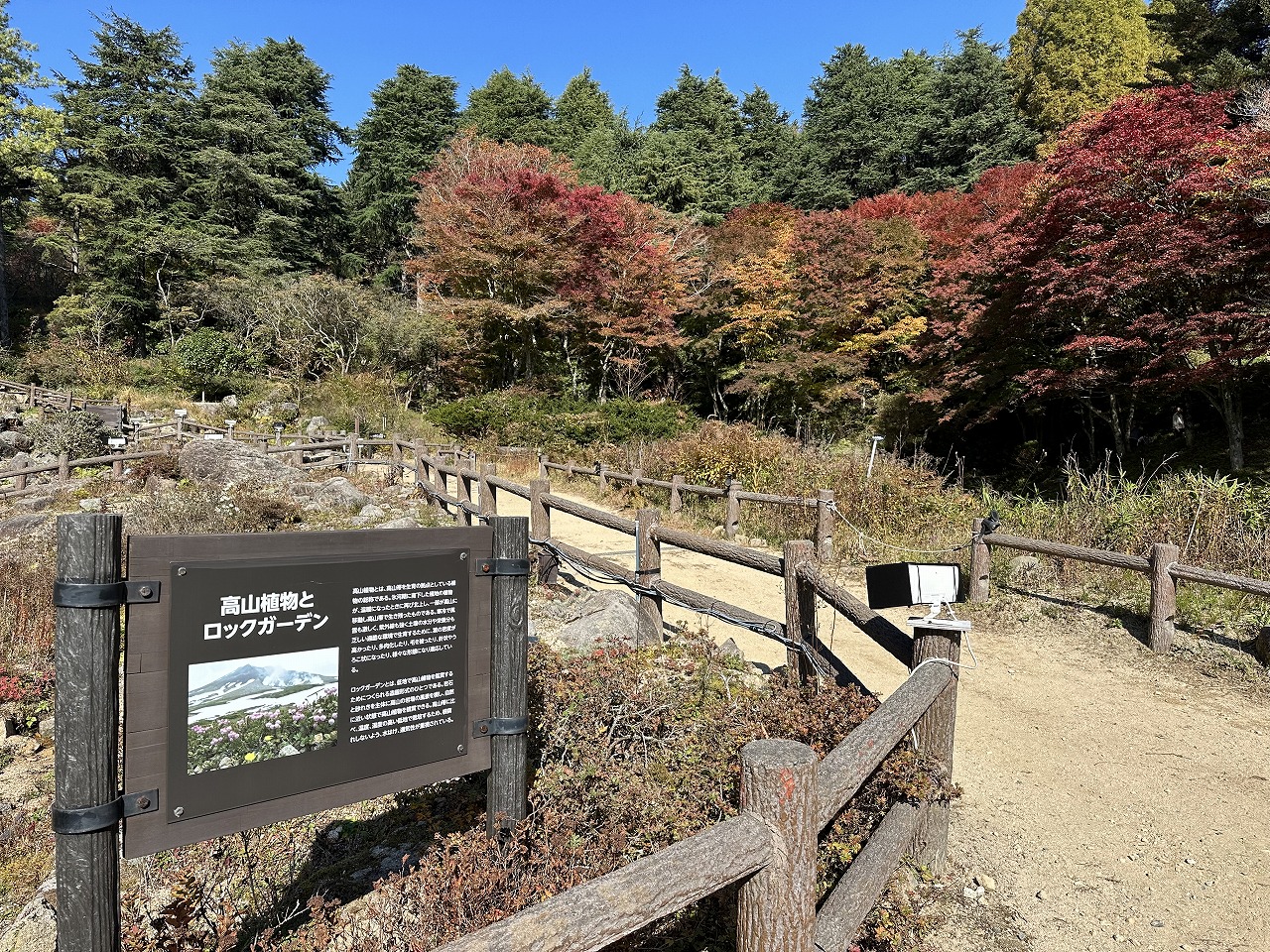 六甲高山植物園