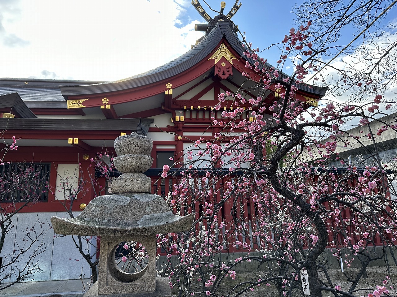 梅がゆ 接待もあり♪ 御影の天神様「綱敷天満神社」『梅花祭』2月25日に開催されます。