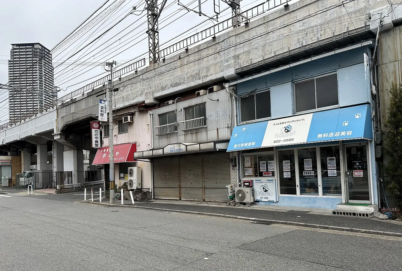 1976年創業 ペットショップ『ワンワンハウス』さん閉店へ。繁殖引退するわんちゃんの里親を募集されています。