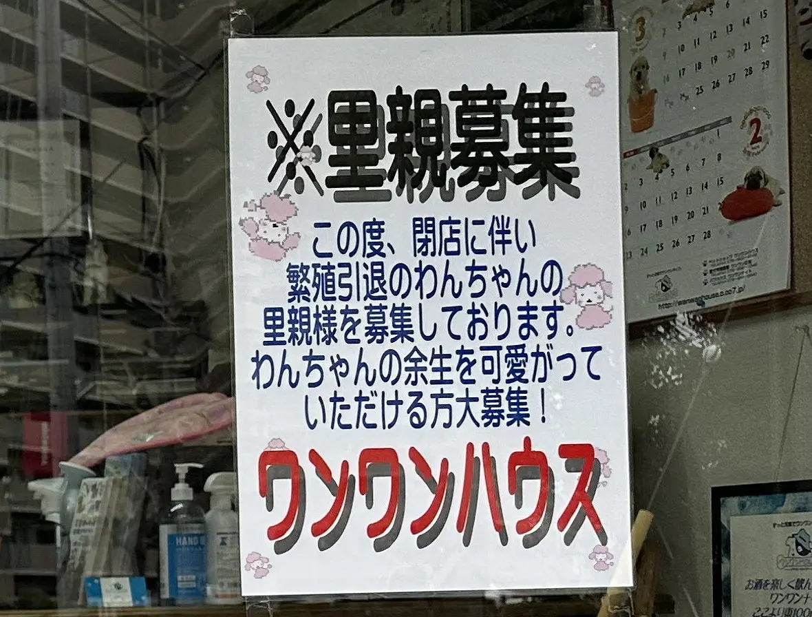 閉店に伴い繁殖引退するわんちゃんの
里親を募集しております。
わんちゃんの余生を可愛がって
いただける方よろしくお願いします。