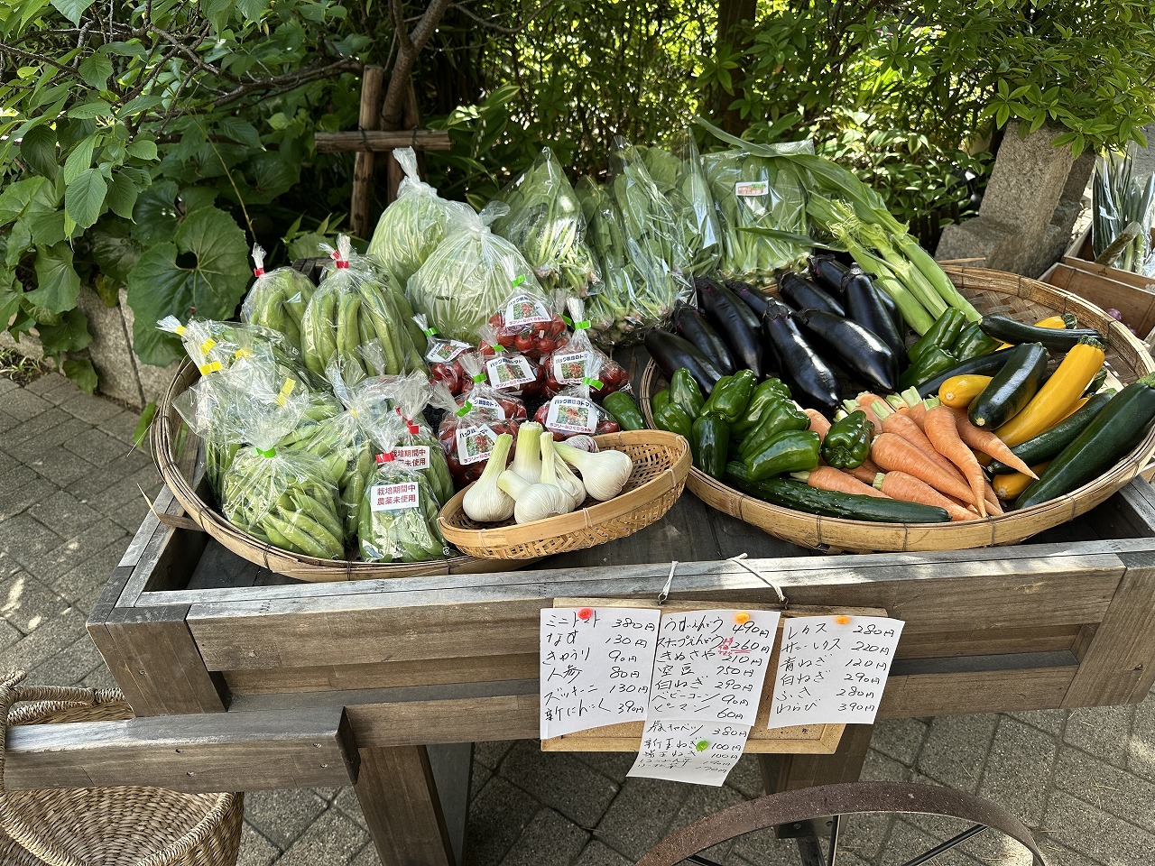 【神戸市東灘区】緑がまぶしい瀟洒な一軒家『グリーンフィールド』さんでお野菜いっぱいのランチ♪