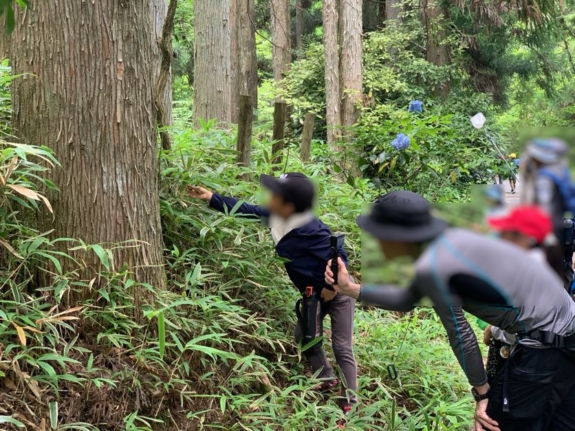 【神戸市灘区】夏休みの自由研究にもおすすめ！「六甲山でセミの抜け殻を調べよう！」参加者募集スタート♪＜1日完結無料講座＞