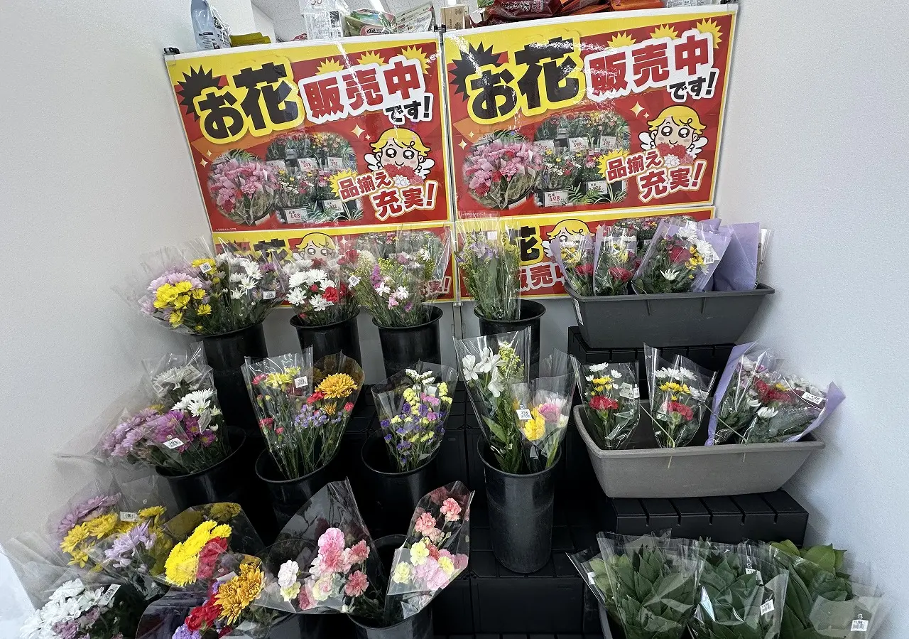 V・ドラッグ阪神大石店のお花売り場コーナー