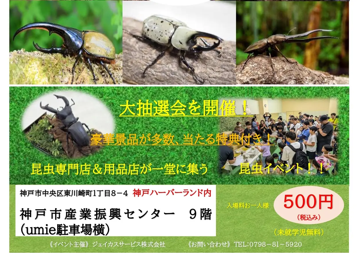 【神戸市】毎年大盛況！ 夏休み恒例の昆虫イベント 「世界のカブトムシ襲来！＆世界のクワガタ」 8月3日開催 in 神戸ハーバーランド