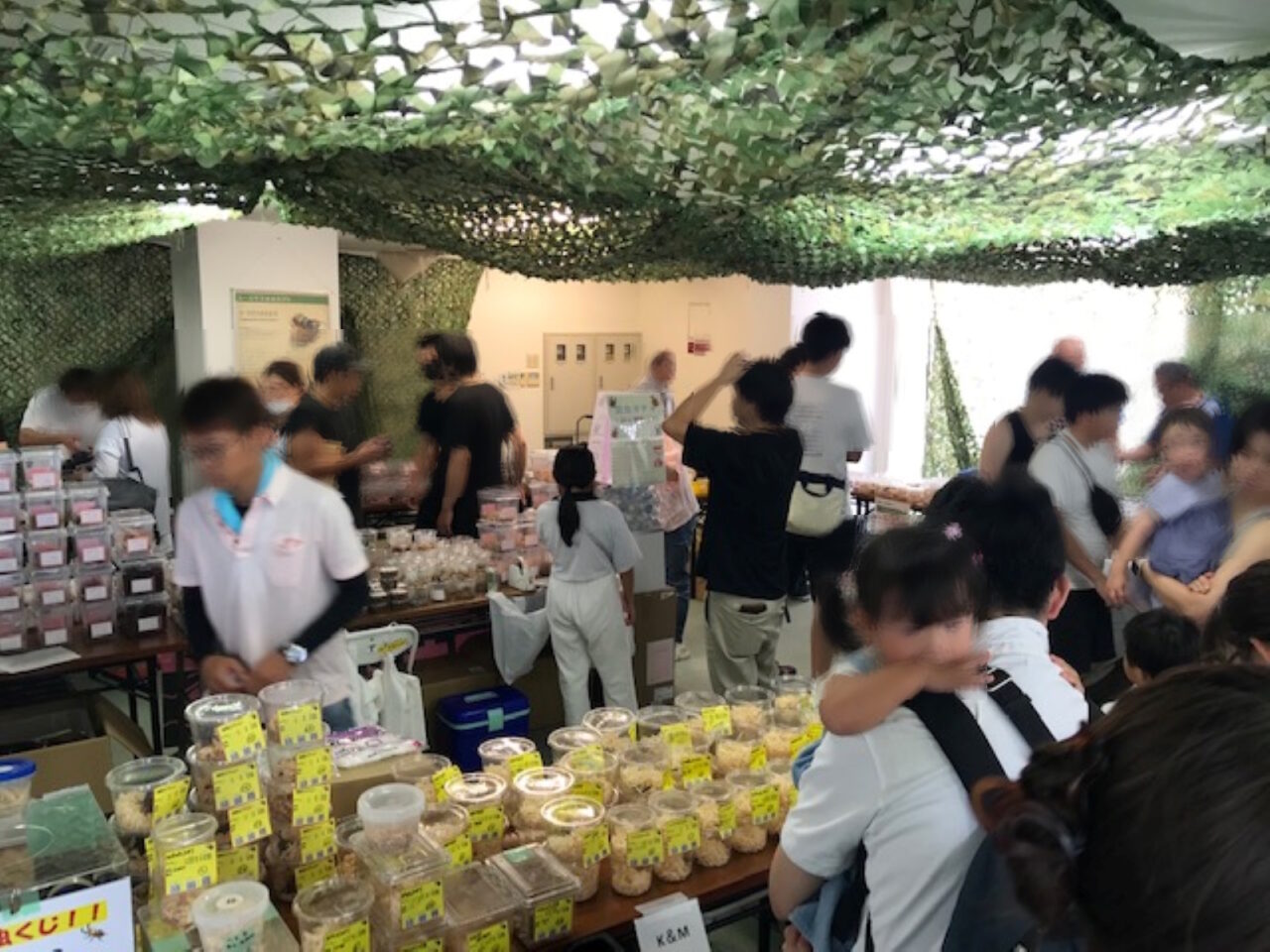 【神戸市】毎年大盛況！ 夏休み恒例の昆虫イベント 「世界のカブトムシ襲来！＆世界のクワガタ」 8月3日開催 in 神戸ハーバーランド