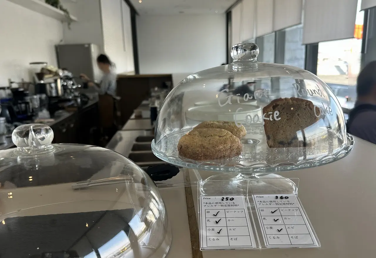 【神戸市】海が見えるカフェ『ROUND POINT CAFE 兵庫県立美術館店』さん 4月22日オープン♪ カフェのみ利用ＯＫ！