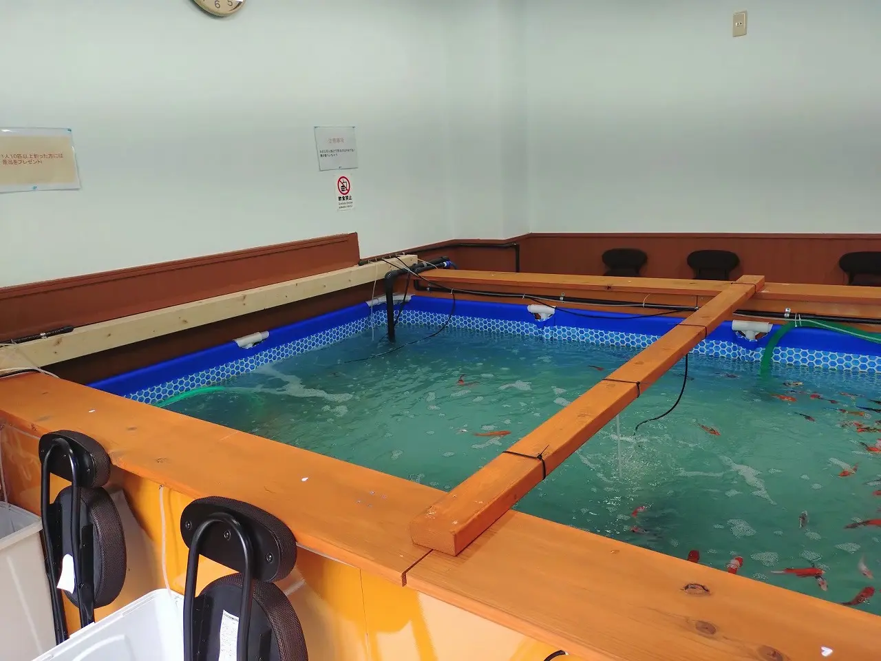 【神戸市東灘区】東灘・甲南町で魚釣り楽しめる？！ 「室内釣堀＆めだか販売」スポットが誕生！