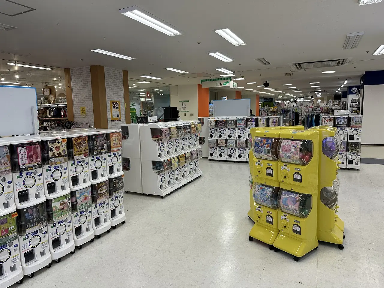 【神戸市東灘区】気がつかなかった…。「ガチャ牧場 セルバ甲南山手店」がオープンしています。