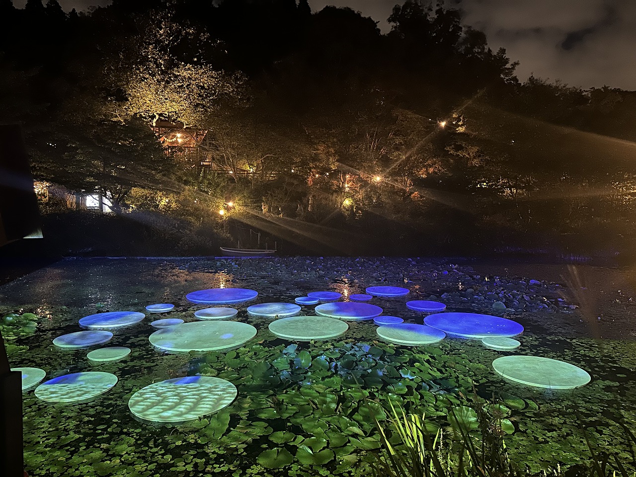 【神戸市灘区】幻想的な夜の芸術散歩♪ 六甲ミーツ・アート2025「ひかりの森」に行ってきました！ 行く前に読んで参考にして下さい♪