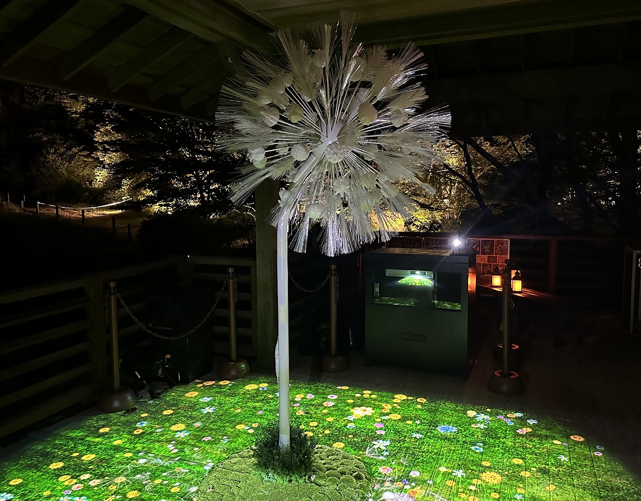 【神戸市灘区】幻想的な夜の芸術散歩♪ 六甲ミーツ・アート2025「ひかりの森」に行ってきました！ 行く前に読んで参考にして下さい♪