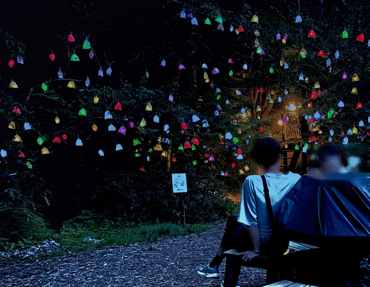 【神戸市灘区】幻想的な夜の芸術散歩♪ 六甲ミーツ・アート2025「ひかりの森」に行ってきました！ 行く前に読んで参考にして下さい♪
