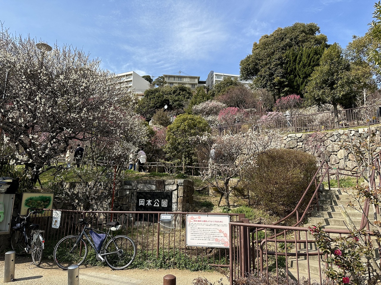 【神戸市東灘区】Netflixドラマ『今際の国のアリス』シーズン3 『神戸ファションマート』が登場♪ えっ～『岡本梅林公園』もロケ地なの？ どのシーンだ？？
