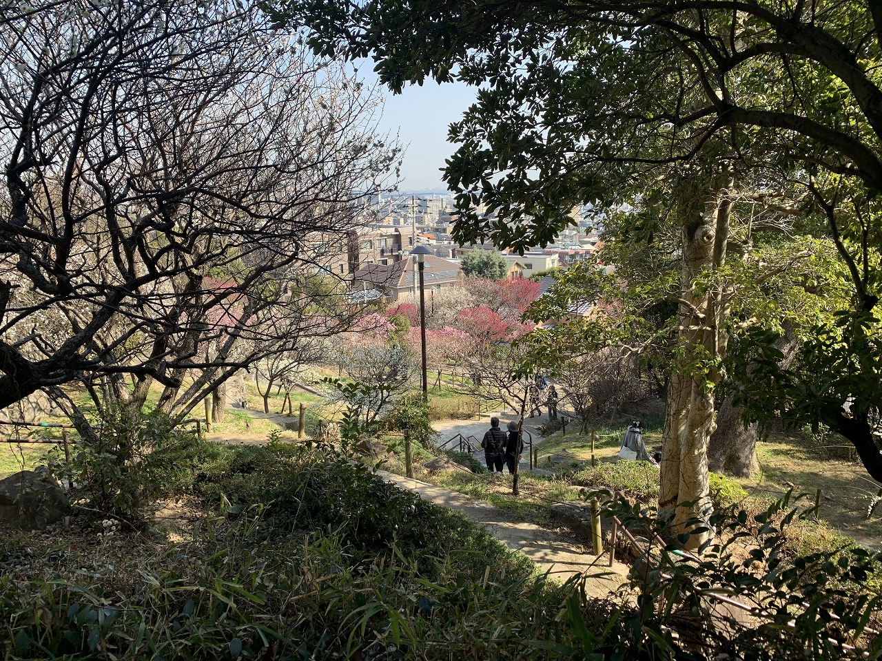 【神戸市東灘区】Netflixドラマ『今際の国のアリス』シーズン3 『神戸ファションマート』が登場♪ えっ～『岡本梅林公園』もロケ地なの？ どのシーンだ？？