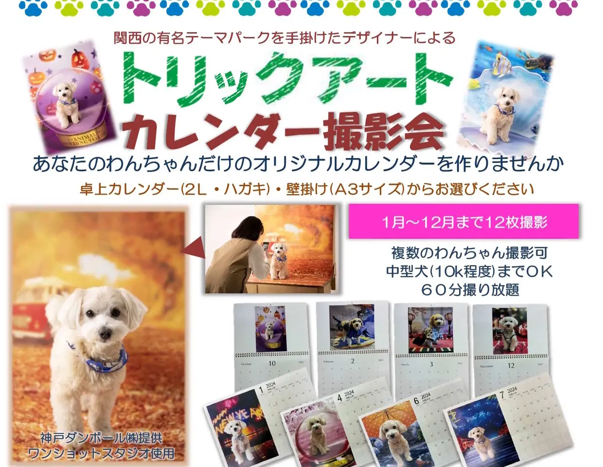 【神戸市東灘区】ワンちゃんの“映え写真”がカレンダーに！？プロの仕掛けで魅力倍増「カレンダー撮影会」開催されます！