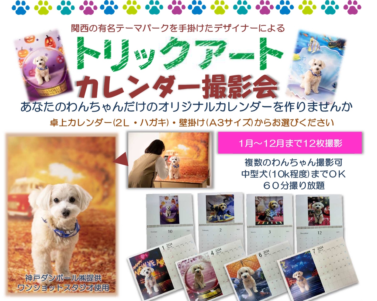 【神戸市東灘区】ワンちゃんの“映え写真”がカレンダーに！？プロの仕掛けで魅力倍増「カレンダー撮影会」開催されます！