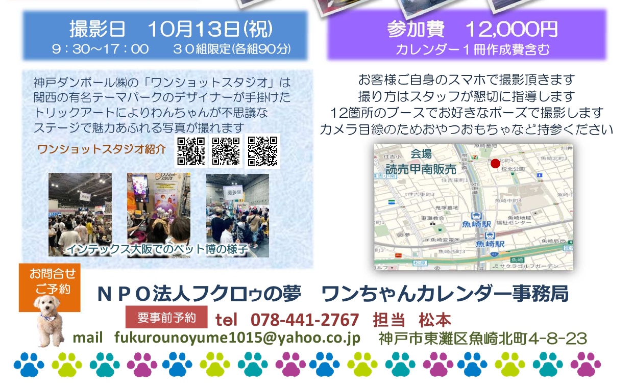 【神戸市東灘区】ワンちゃんの“映え写真”がカレンダーに！？プロの仕掛けで魅力倍増「カレンダー撮影会」開催されます！