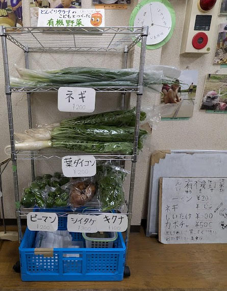 【神戸市灘区】六甲学童保育所『どんぐりクラブ の 秋のまつり 2025』11月15日（土）開催♪