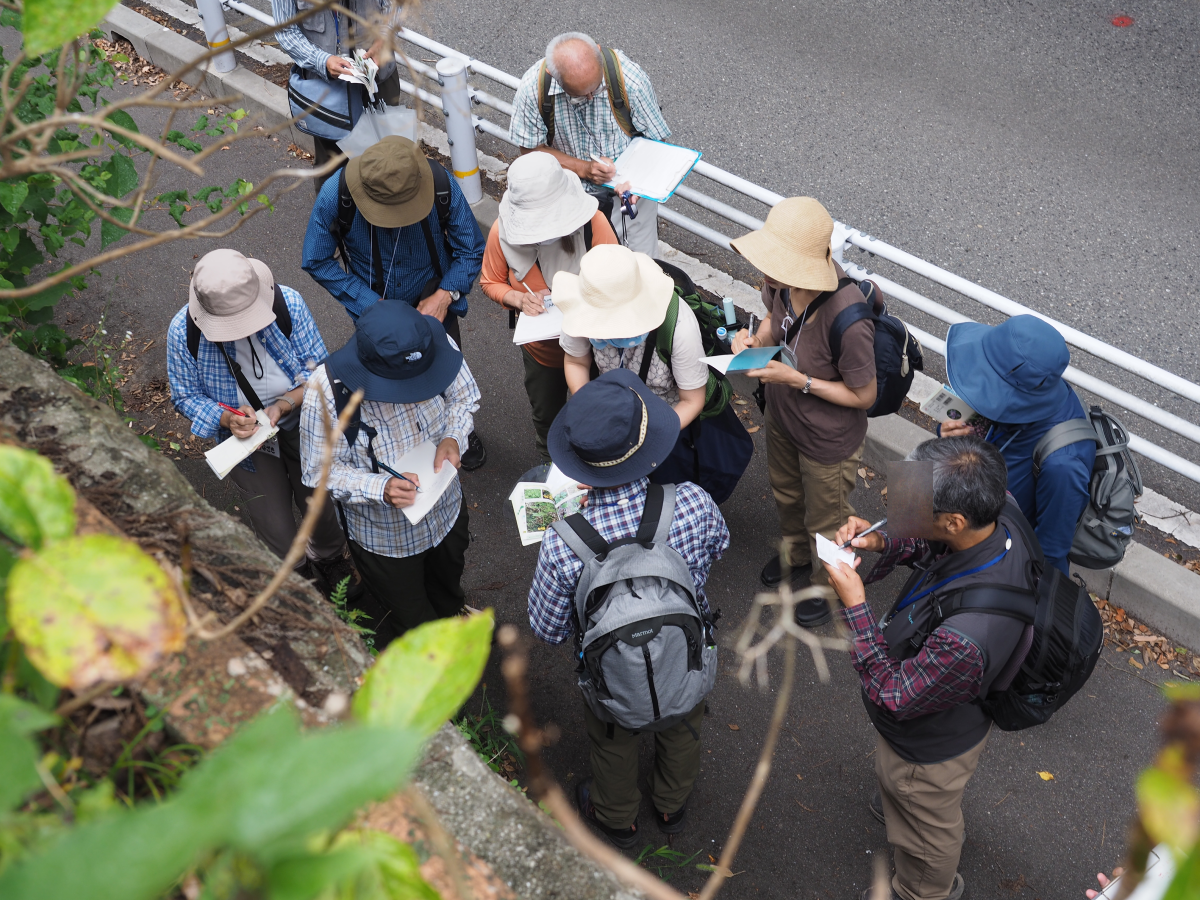 【神戸市灘区】春から始める自然観察ライフ！2026年4月開講「六甲山の自然観察入門講座＜全9回＞募集開始♪