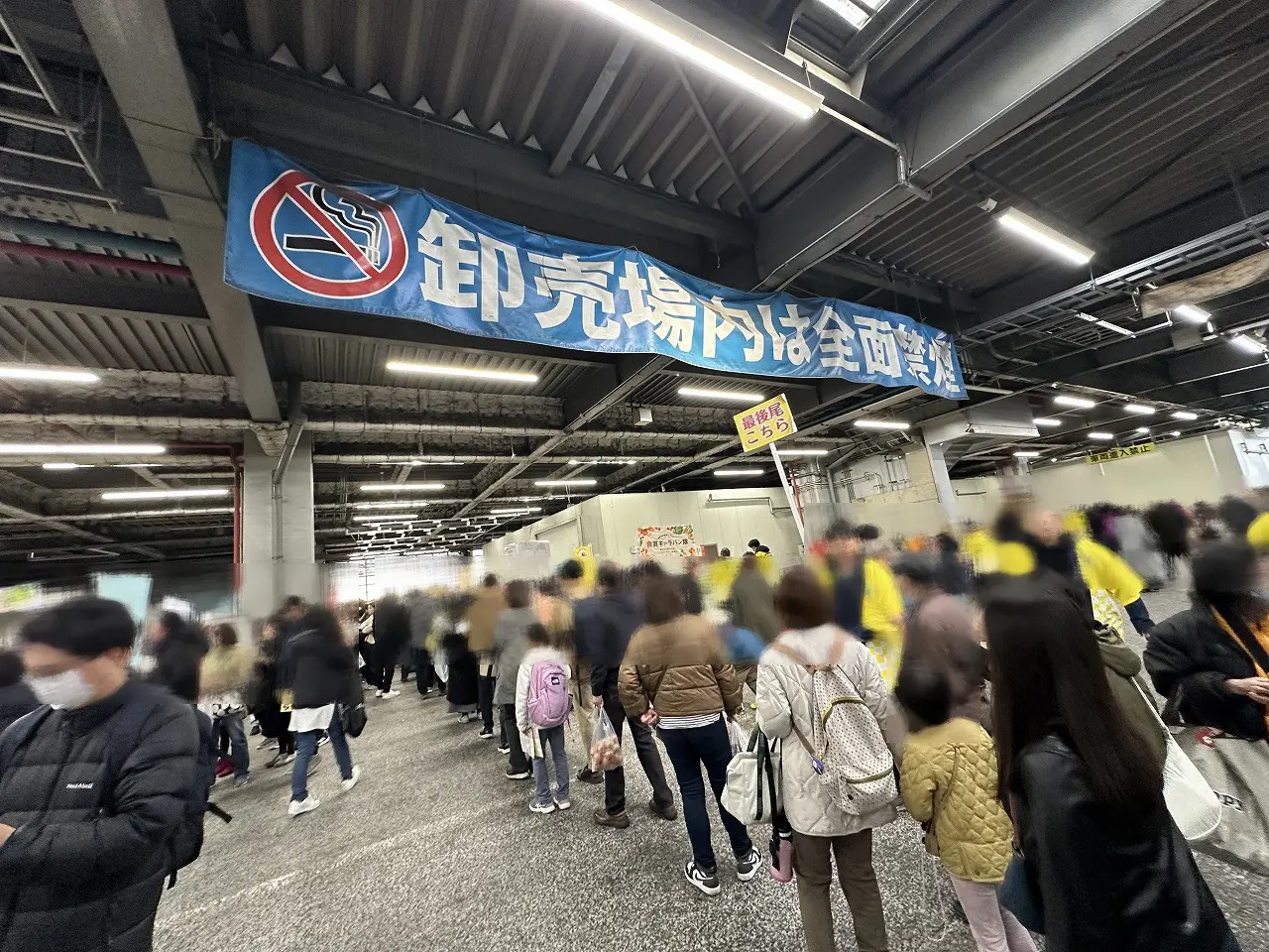 【神戸市東灘区】神戸市中央卸売市場 東部市場（深江浜）11月22日（土）フェスタ開催♪ お買い得商品満載(≧▽≦)