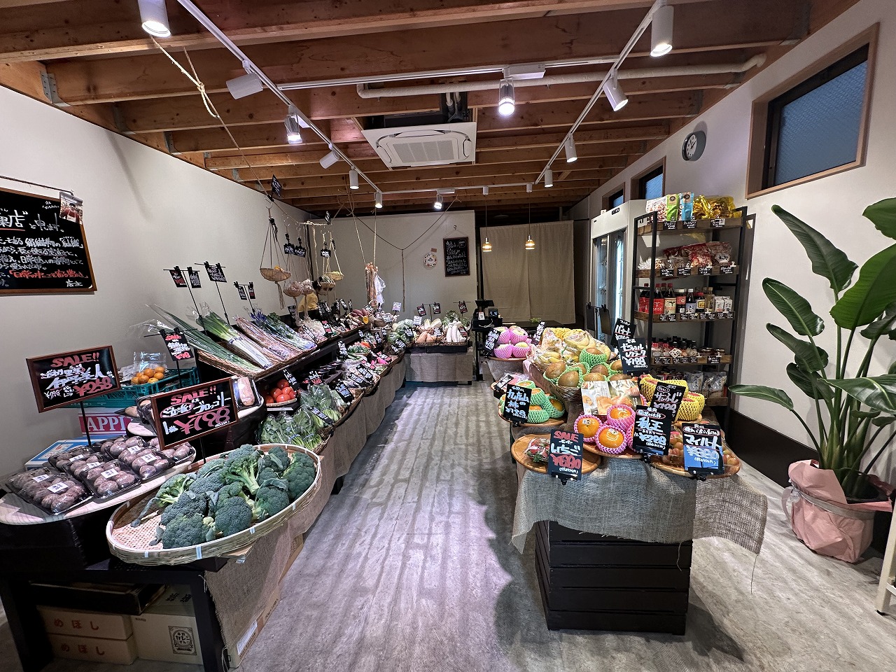 【神戸市東灘区】お若いオーナーの野菜愛が凄い！ 甲南本通商店『紬屋青果店（つむぎやせいかてん）』さんオープン♪