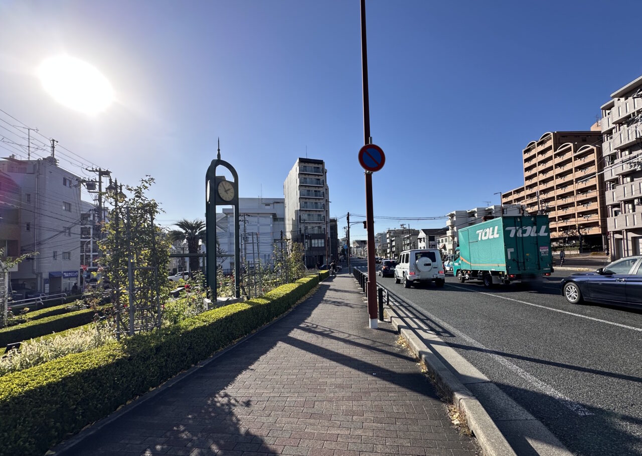 【神戸市東灘区】異変…。あの“ひょろ～っとしたヤシの木”が…ない！？本山街園（バラ公園）で静かに起きていた変化
