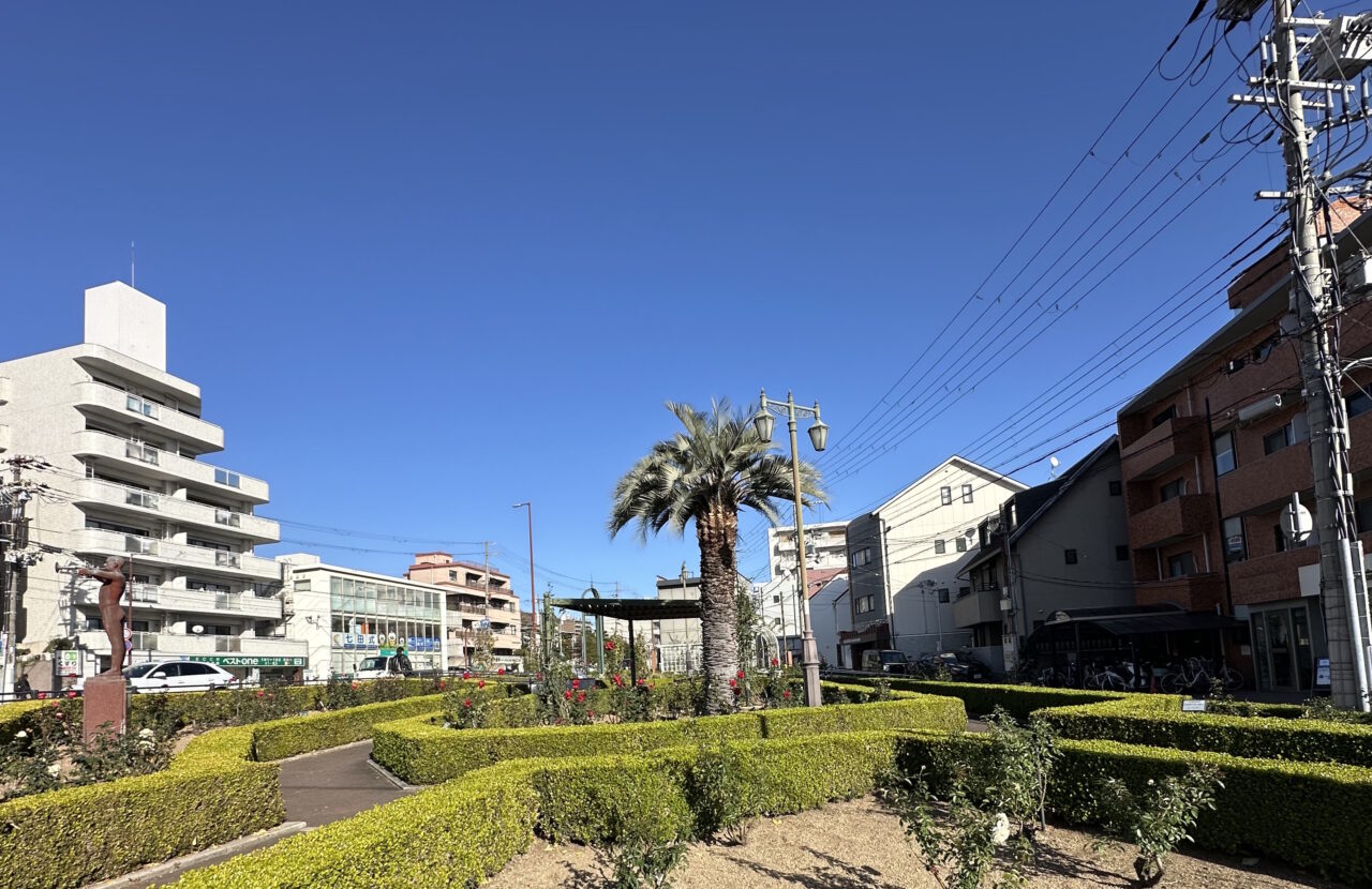 実は…あの、空に向かってスラ〜ッと伸びていたヤシの木が、なくなっているんです！