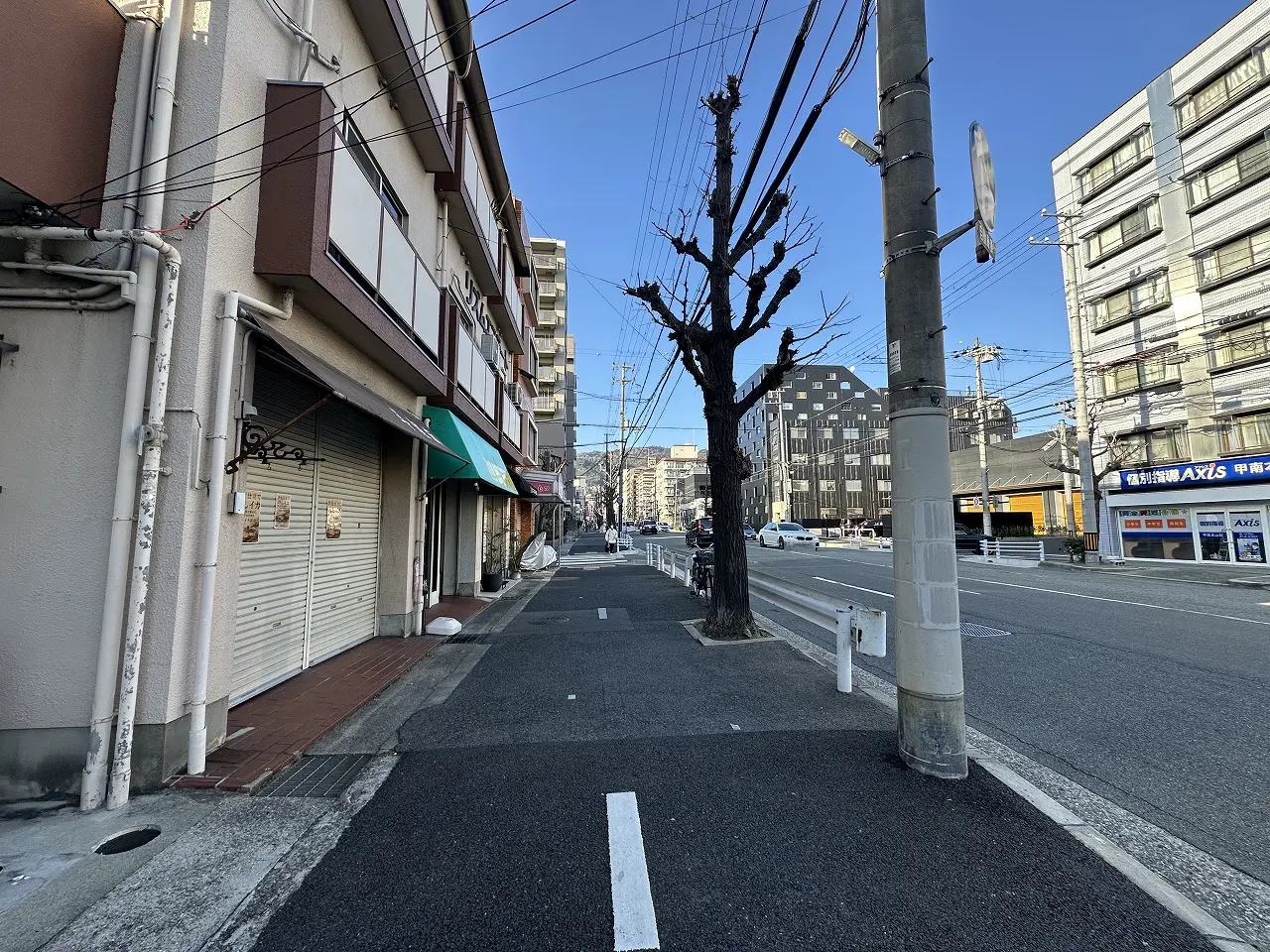 【神戸市東灘区】なになに?! 国産イカ使用「のしイカ」のチラシを十二間道路沿いで発見♪ 今度はいつ販売?