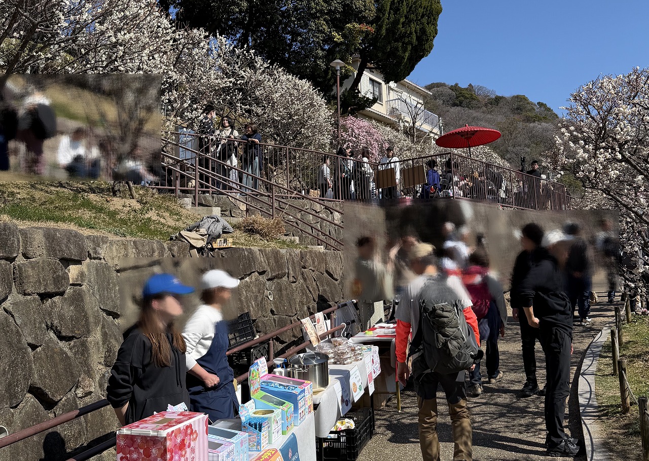 【神戸市東灘区】季節外れの陽気に誘われて…「摂津岡本梅まつり」は、人・人・人の大盛況でした♪ 2月22日開催。