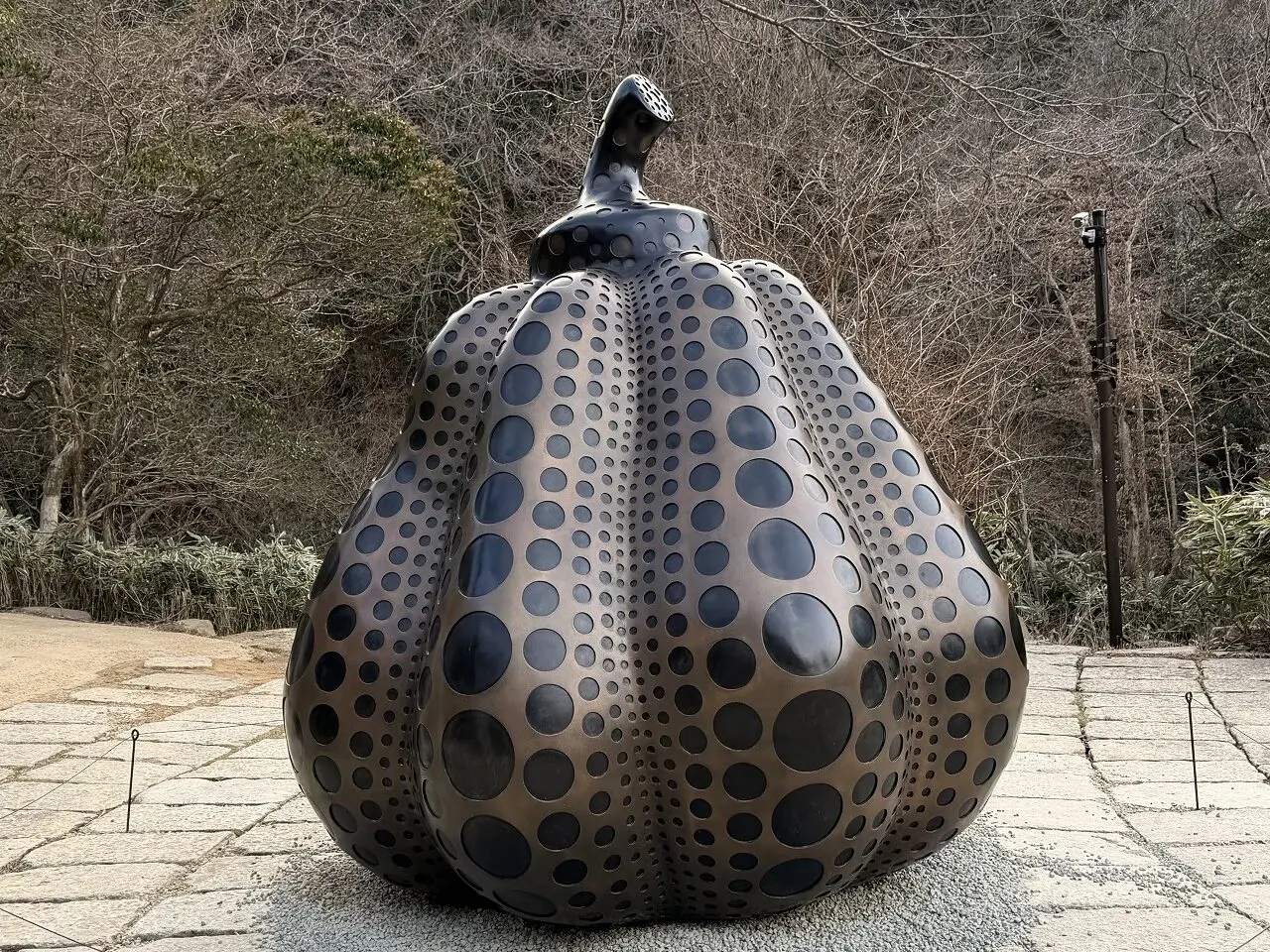 【神戸市灘区】六甲山に草間彌生《南瓜》がやってきた！ブロンズ製の巨大かぼちゃを今すぐ見に行こう♪「ROKKO森の音ミュージアム」SIKIガーデンに2026年3月14日より公開