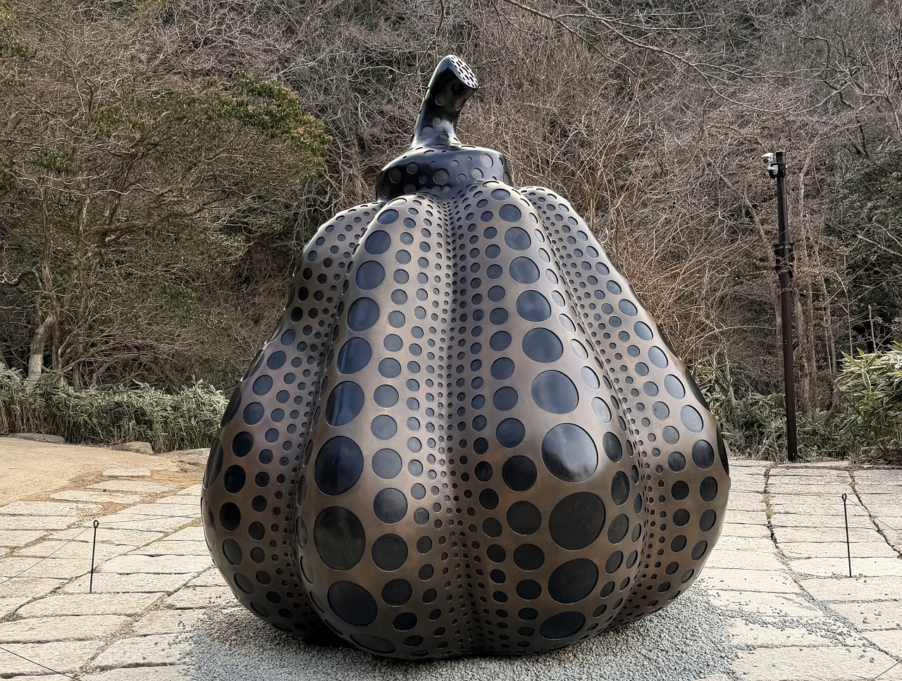 【神戸市灘区】六甲山に草間彌生《南瓜》がやってきた!ブロンズ製の巨大かぼちゃを今すぐ見に行こう♪「ROKKO森の音ミュージアム」SIKIガーデンに2026年3月14日より公開