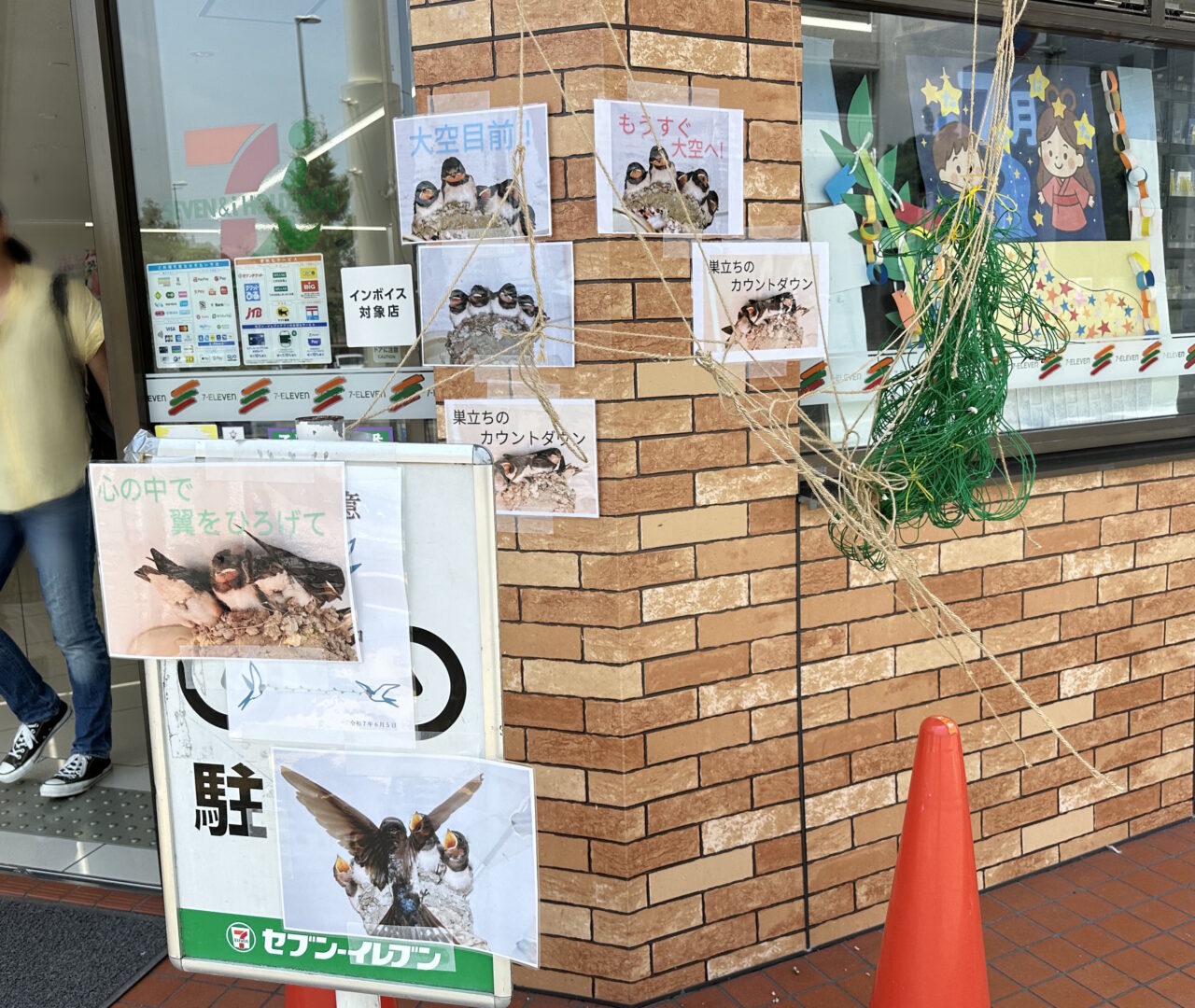 【神戸市東灘区】思わずほっこり♪ セブン-イレブン神戸本山駅南店で見つけた「ツバメ限定物件」の貼り紙を発見(≧▽≦)